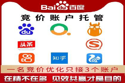 百度竞价代理的运营策略与成功案例分析